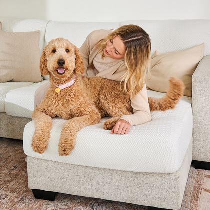Housse Anti-Poils et Griffes